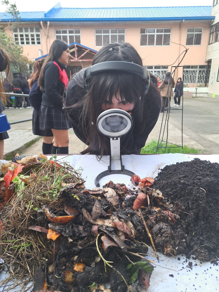 Sembrando el cambio, cosechamos el mañana