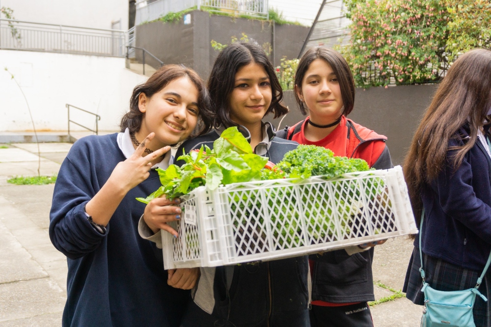 Sembrando el cambio, cosechamos el mañana