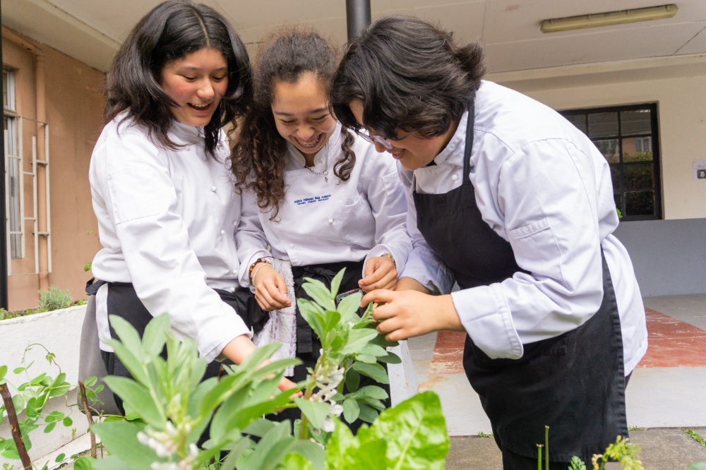 Sembrando el cambio, cosechamos el mañana