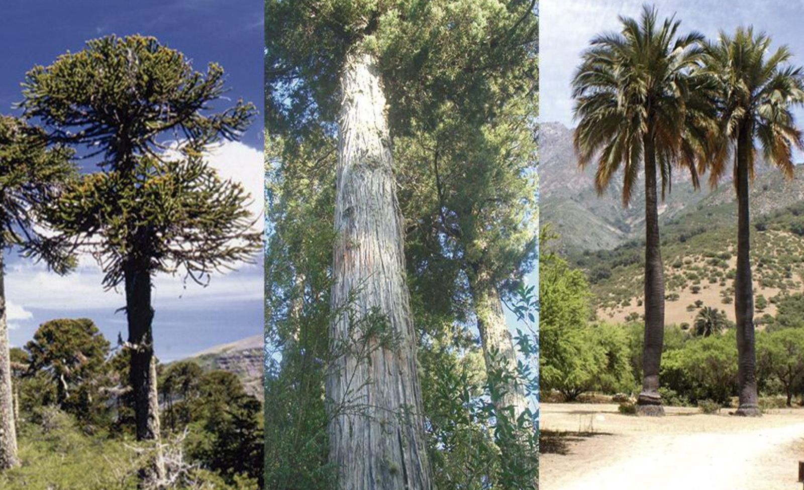 Vivero Educativo Comunitario8