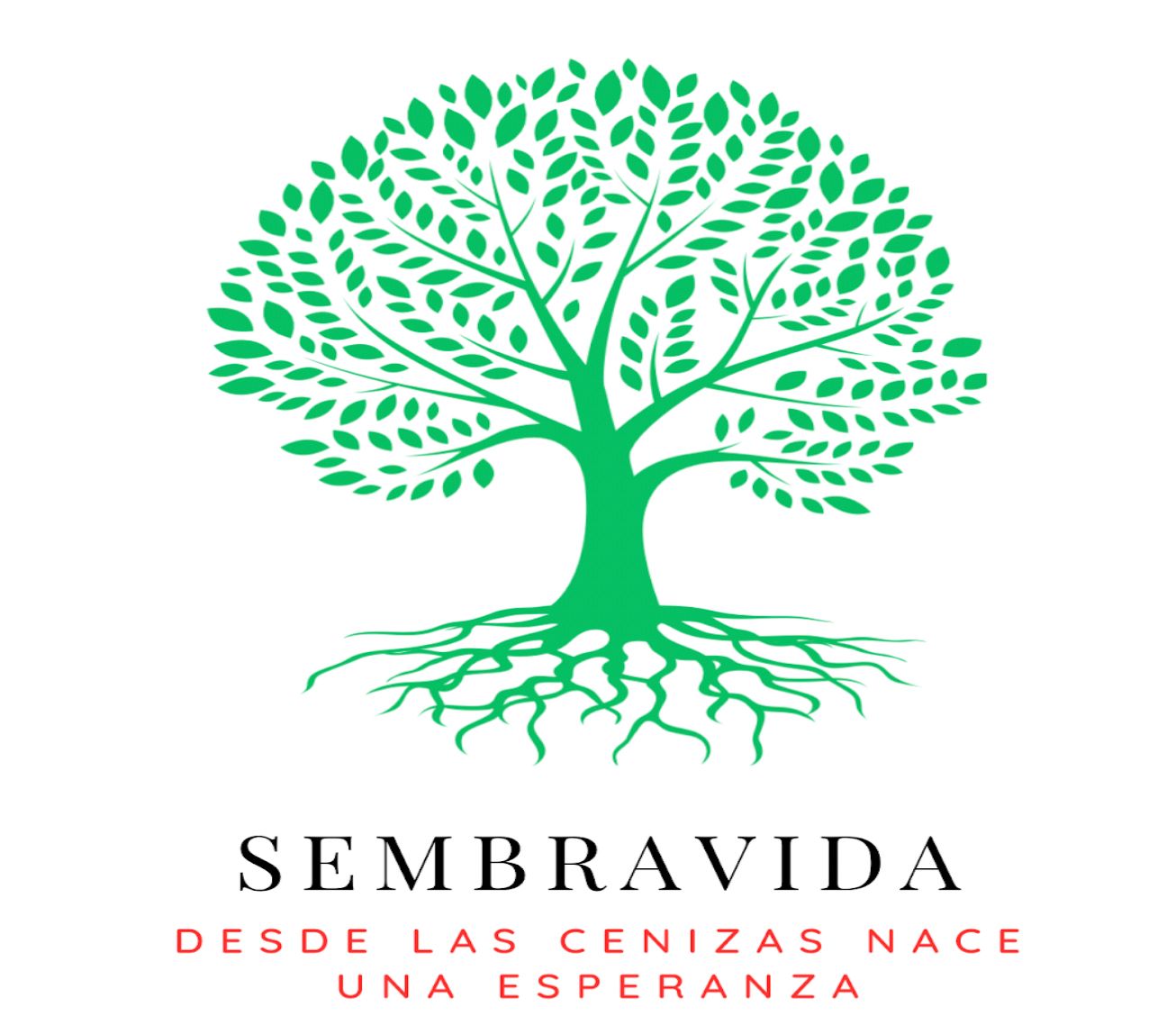 Vivero Educativo Comunitario9