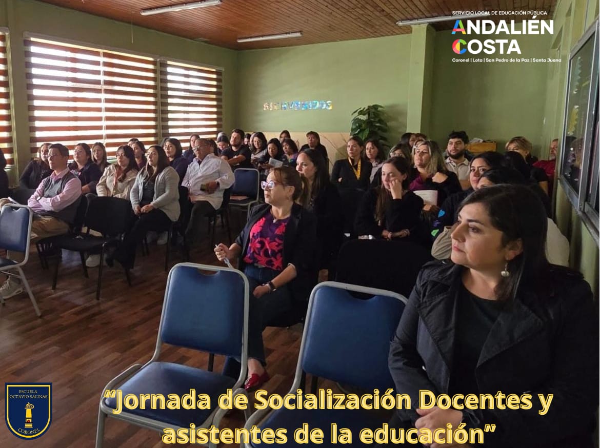 Escuela Octavio Salinas Cariaga3