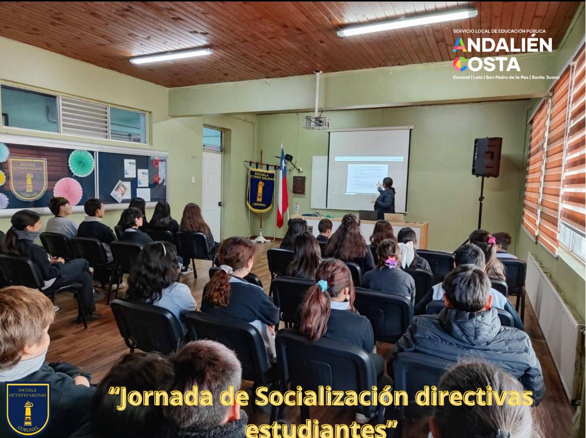 Escuela Octavio Salinas Cariaga2