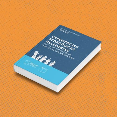 lanzamiento del libro “Experiencias Pedagógicas Relevantes para la Implementación del Plan de Reactivación Educativa”, un nuevo ejemplar de la Educación Pública que releva distintas experiencias pedagógicas llevadas a cabo por los Servicios Locales de Educación Pública (SLEP) para fortalecer los aprendizajes de niñas, niños, jóvenes y adultos.