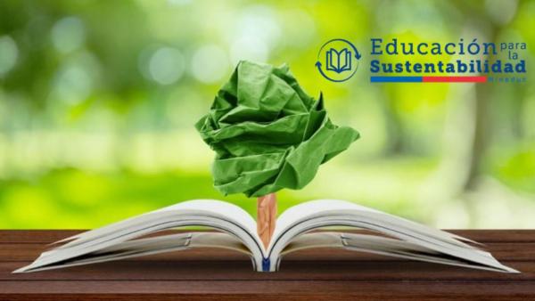 educación para la sustentabilidad