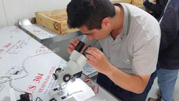Joven con microscopio