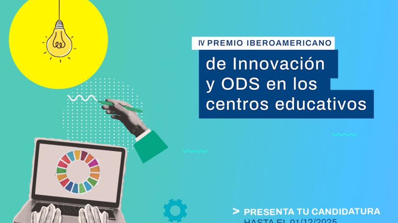 AFICHE OEI